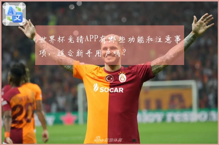 世界杯竞猜APP有哪些功能和注意事项，适合新手用户吗？